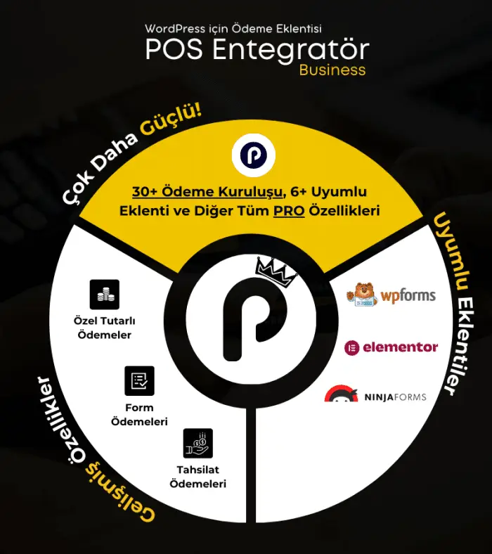 POS Integrator Business