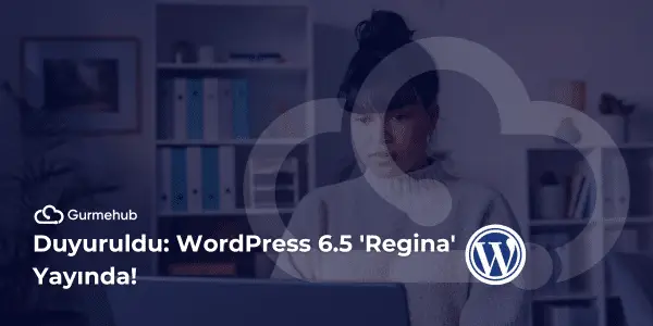 Wordpress 6.5