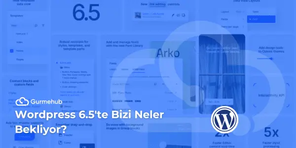 Wordpress 6.5