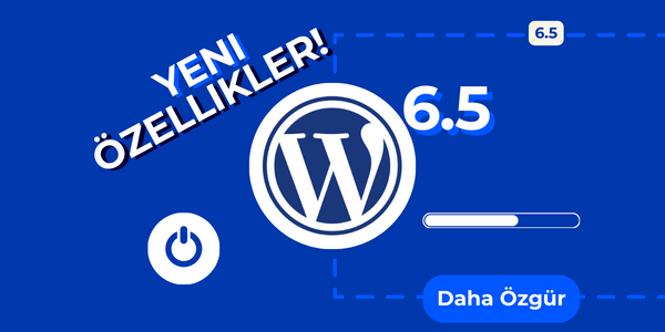 wordpress 6.5.3